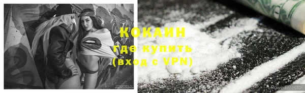 бошки Горняк