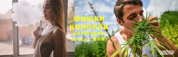 бошки Горняк