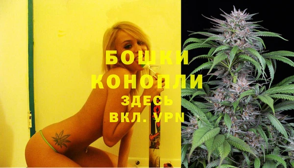 бошки Горнозаводск