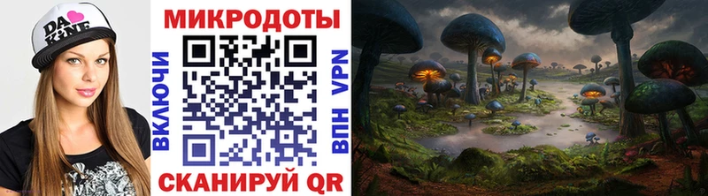 Псилоцибиновые грибы Psilocybine cubensis  ОМГ ОМГ ТОР  Чегем 